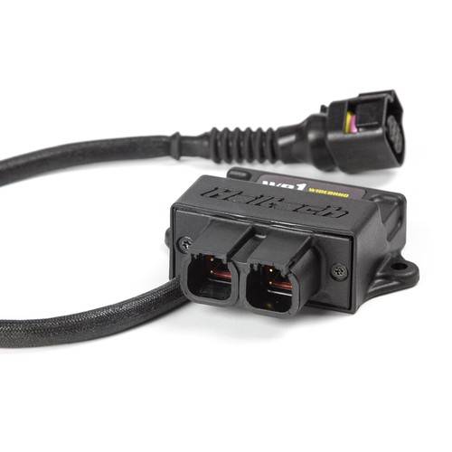 Haltech wideband control - haltech, o2